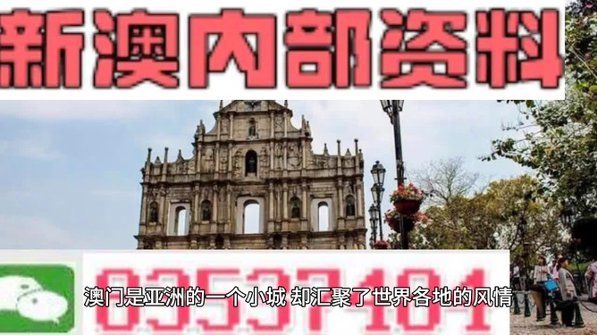 澳门资料大全，探索49图库的奥秘，澳门资料大全揭秘，探索49图库的神秘面纱