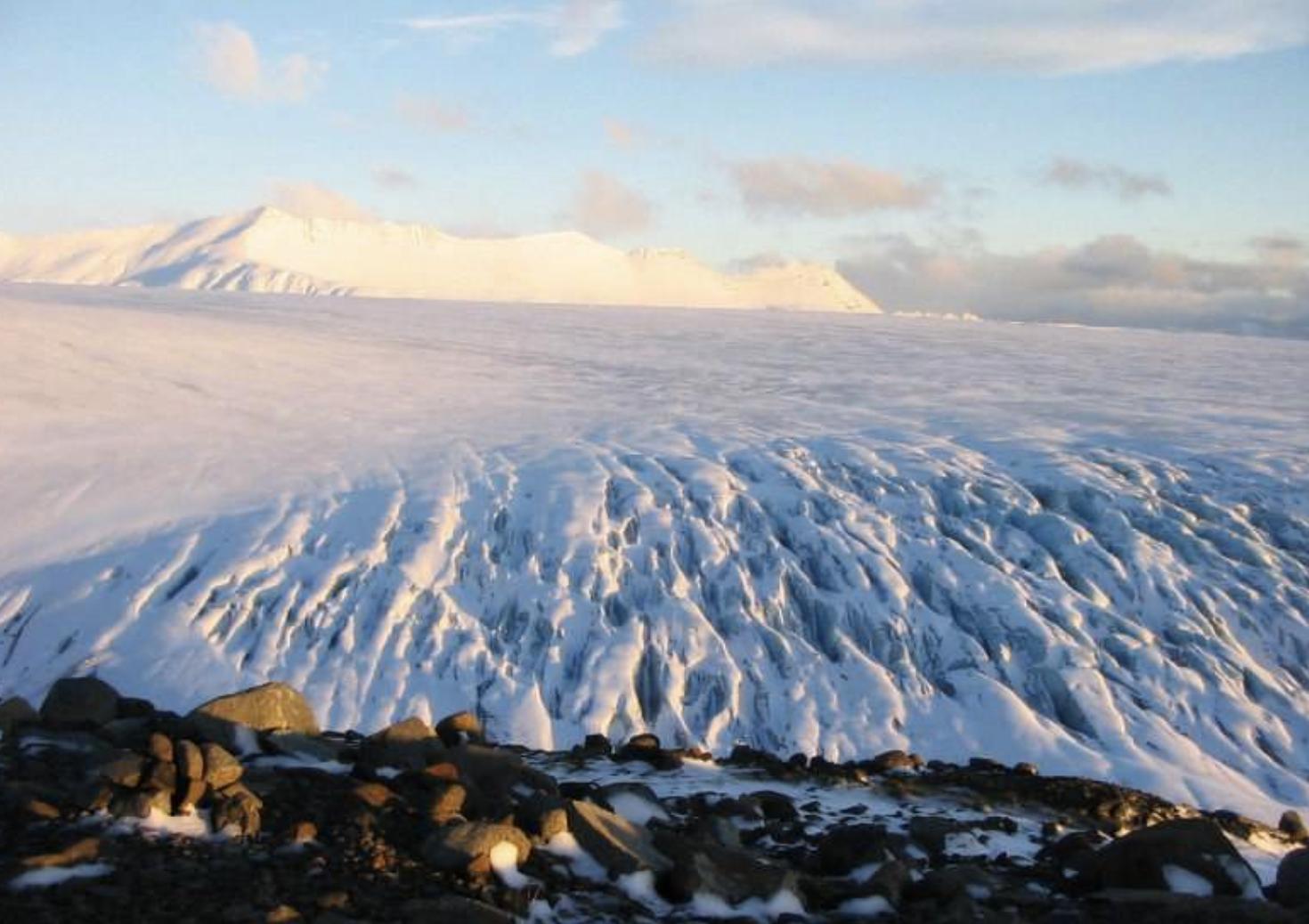 各国武装直升机排名,全球武装直升机排名概览