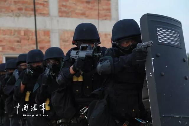 蛟龙突击队视频下载，深入解析与体验，蛟龙突击队视频下载及深度解析与体验指南