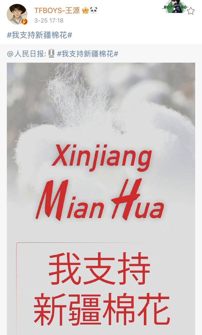 王中王平特一肖秀家网,探索与解析,王中王平特一肖秀家网,深度探索与解析