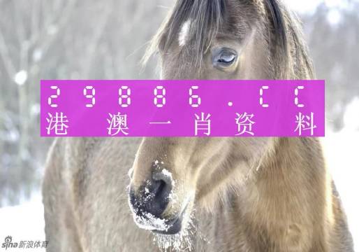 澳门一肖一码100精准正版诗象，探索与解读，澳门一肖一码精准正版诗象解读与探索
