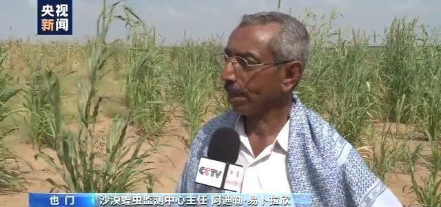 国际新闻焦点，也门最新战况深度解析，国际新闻焦点，也门最新战况深度解读