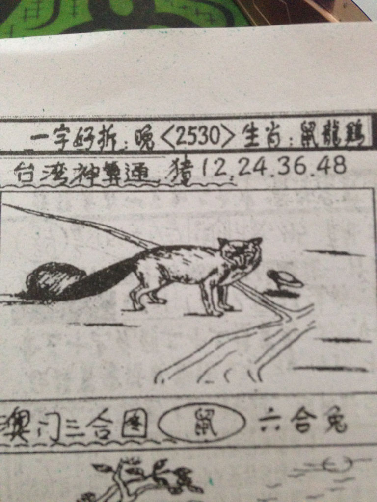 揭秘刘伯温与四不像猜一肖的传奇故事，刘伯温与四不像猜一肖的传奇探秘