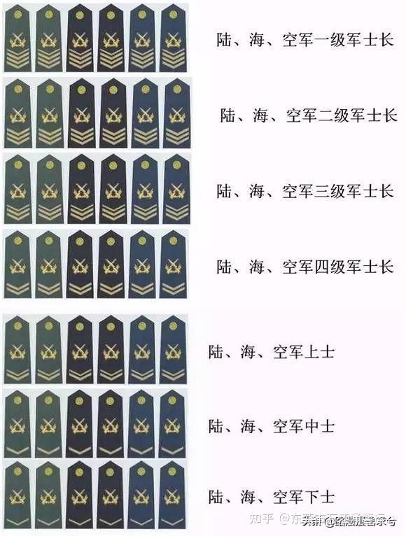 士官制度的起源与发展历程，士官制度的起源与演进历程