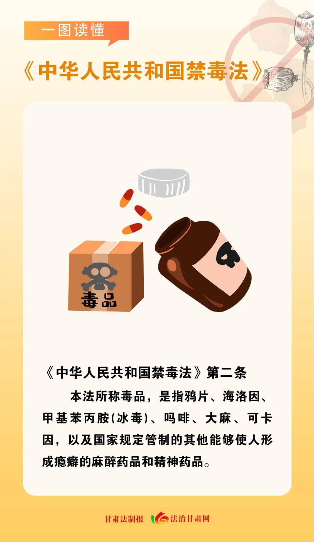 中华人民共和国禁毒法的实施及其深远影响，中华人民共和国禁毒法的实施及其深远影响的探究