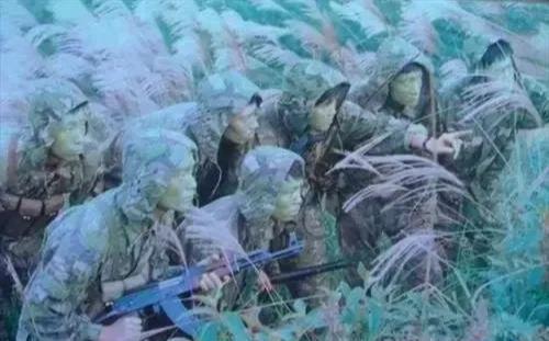 空降兵军特战旅编制，现代战争中的精锐力量，现代战争中的精锐力量，空降兵军特战旅编制揭秘