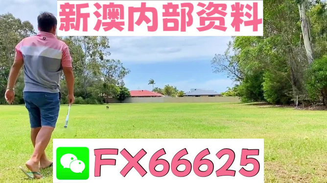 澳门一码精准必中
