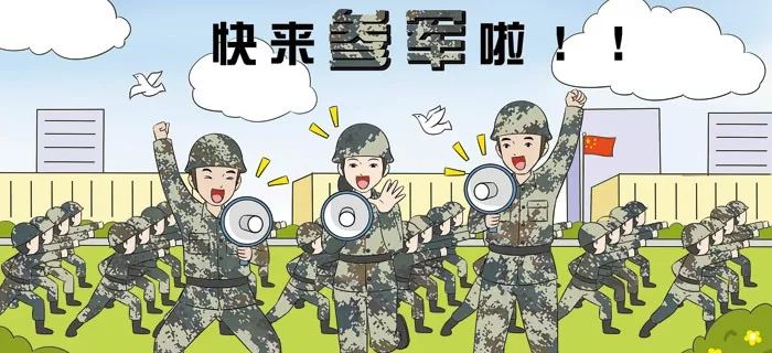 全国征兵政策概述，全国征兵政策概览