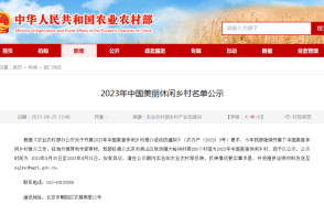 南略中文网首页新闻深度解析,南略中文网首页新闻深度剖析