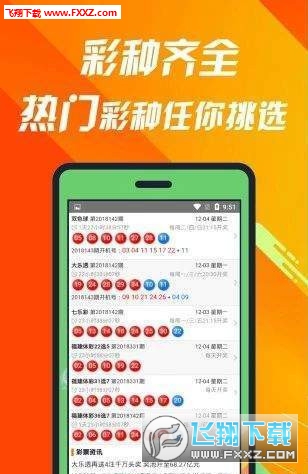 王中王一肖码占，探索数字时代的王者之道，王中王一肖码占，数字时代的王者探索之路