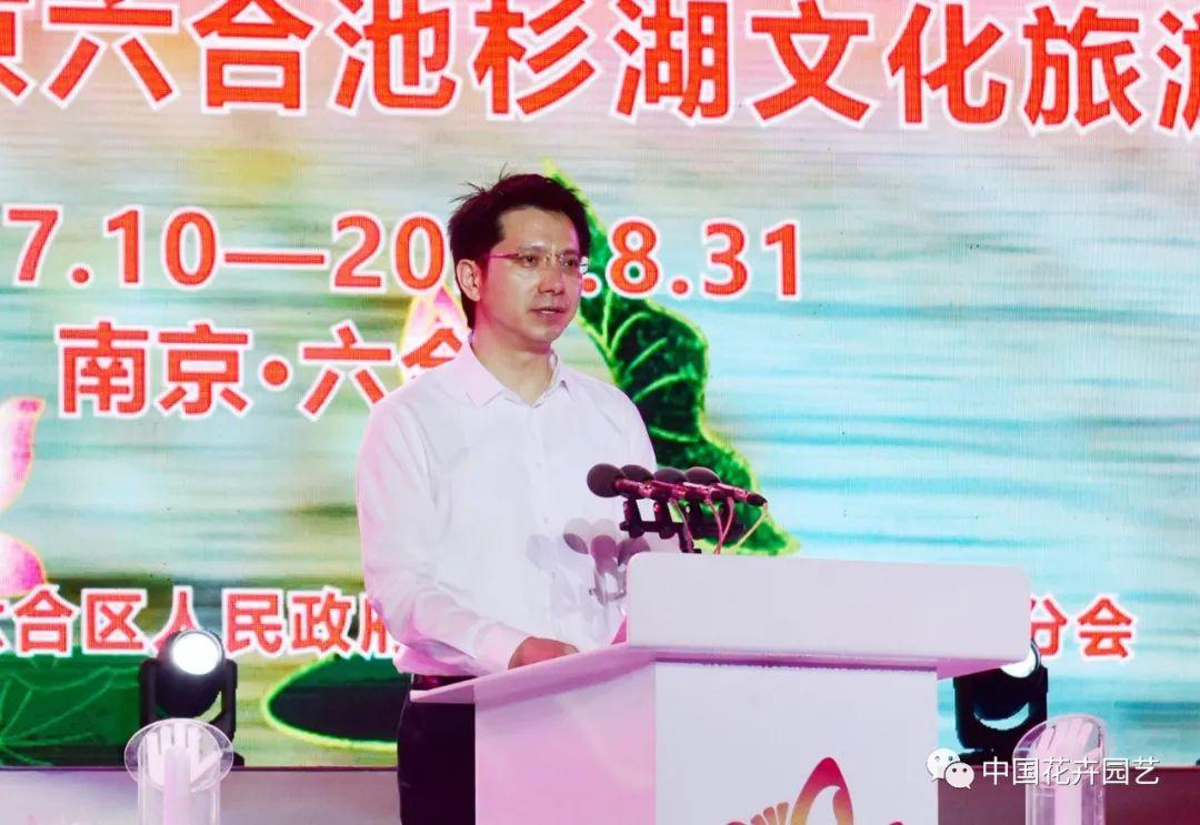 澳门六和最快开奖结果，探索与解析，澳门六和最新开奖结果解析