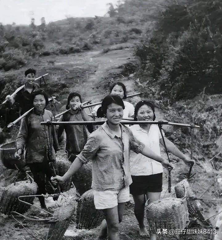 图片与资料宝藏