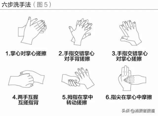 对病毒有阻隔作用的防护力量，从微观到宏观的全方位解析，全方位解析，从微观到宏观的病毒阻隔防护力量