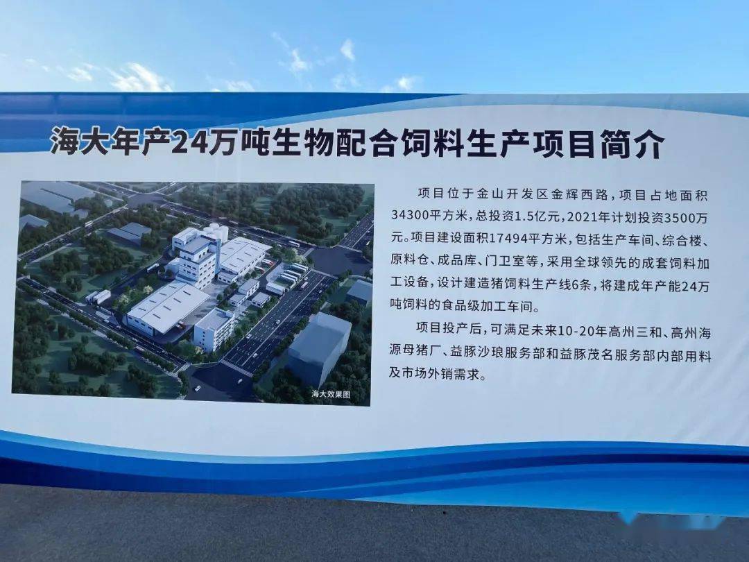 高州今天特大新闻，城市新动向与发展里程碑，高州今日要闻，城市新动向与发展里程碑揭秘