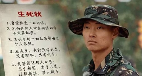 刘金沂与委内瑞拉，一段跨越时空的视频故事，刘金沂与委内瑞拉的跨时空视频之旅