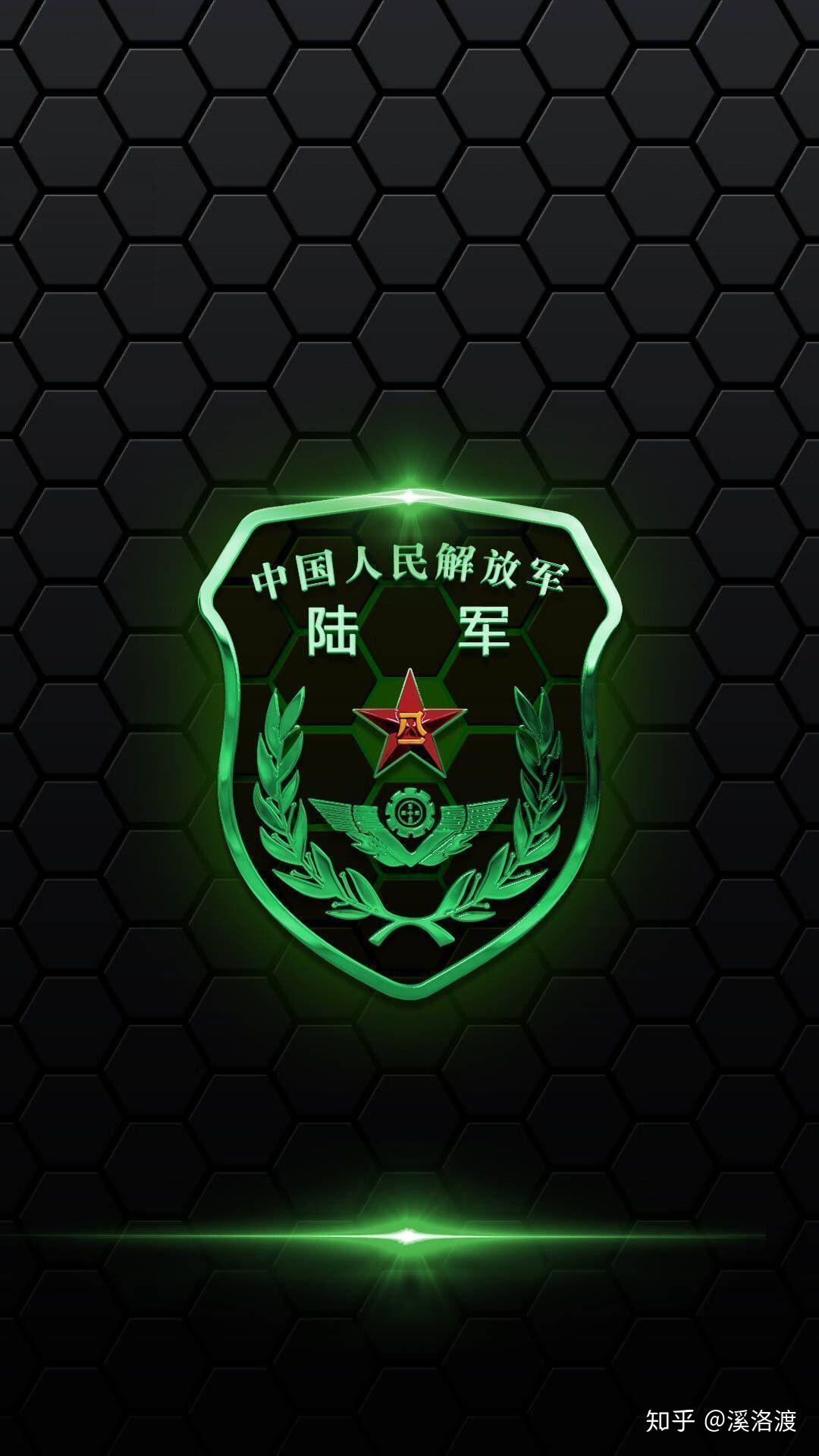 中国人民解放军军种臂章，荣耀的象征与时代的印记，中国人民解放军军种臂章，荣耀时代的印记与象征