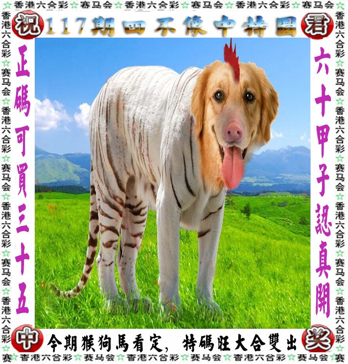 王中王四不像图平直一肖