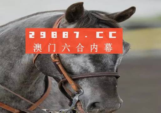 澳门六肖摆龙门阵325期，探索与解析，澳门六肖摆龙门阵揭秘，第325期深度探索与解析