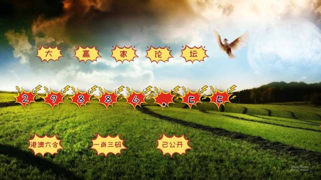 澳门4949最快开奖结果与电视剧的交织魅力，澳门4949开奖结果与电视剧的魅力交织