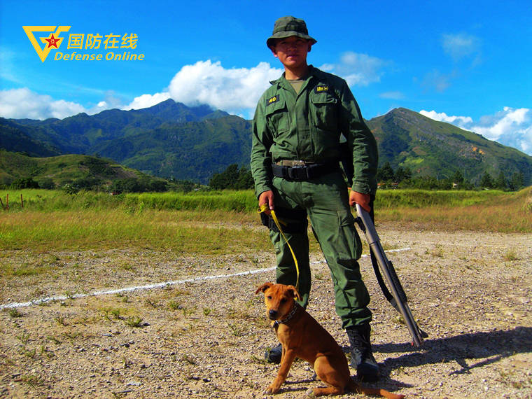 委内瑞拉猎人学校排名及其影响力探讨，委内瑞拉猎人学校排名与影响力深度探讨