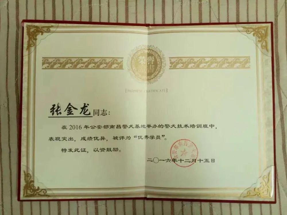 张金龙事件的影响，探究其背后深层次的社会意义与启示，张金龙事件背后的社会意义与启示深度探究