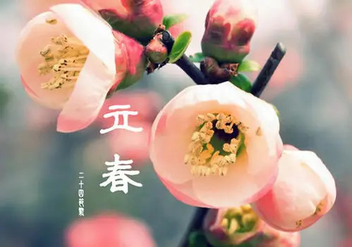 今天什么时候立春，时间的韵律与自然的律动，时间的韵律与自然的律动，今日立春时刻揭晓