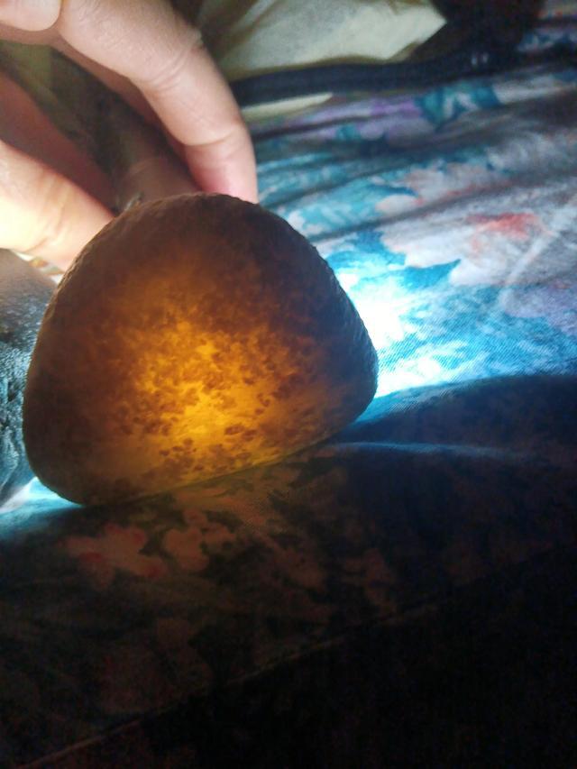 昆仑山捡玉石的视频，探寻玉石之旅的神秘魅力，昆仑山探寻玉石之旅，揭秘玉石魅力的独特视频之旅