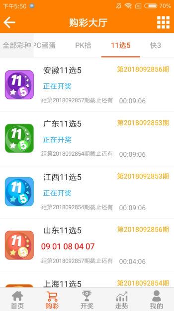 王中王资料一肖中的深度解析，王中王资料一肖中的深度剖析