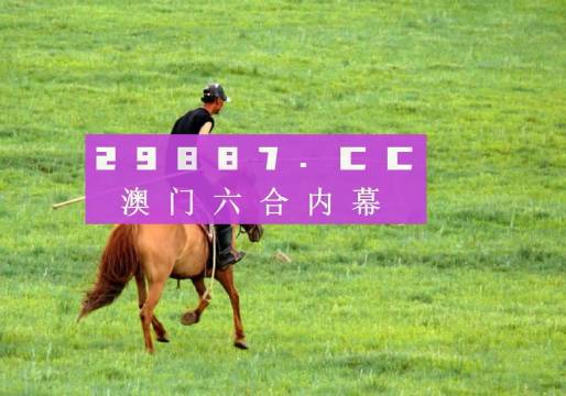 澳门精准一肖一码一澳门，探索背后的神秘世界，澳门精准一肖一码背后的神秘世界探索