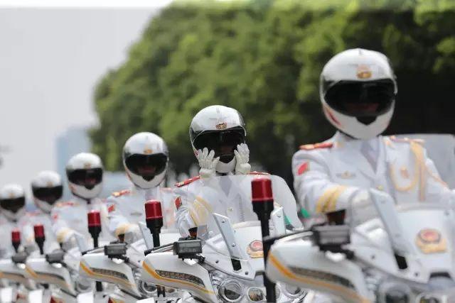 揭秘国宾护卫队，荣耀与责任的象征，国宾护卫队，荣耀与责任的典范