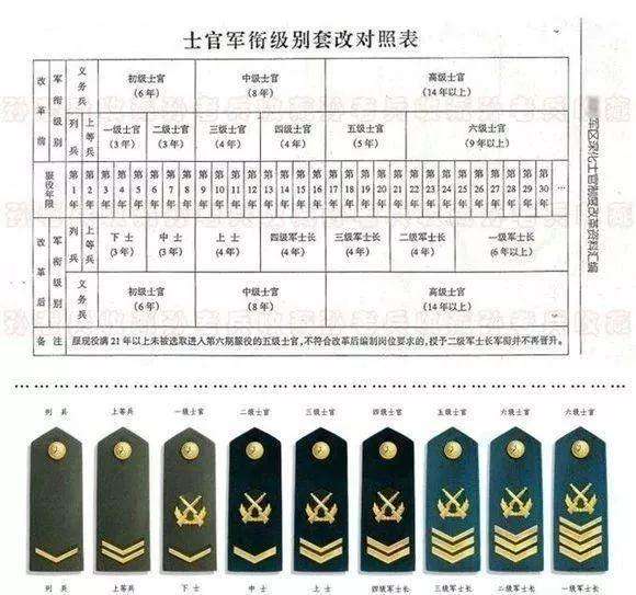 士官分队长是什么级别，士官分队长级别解析