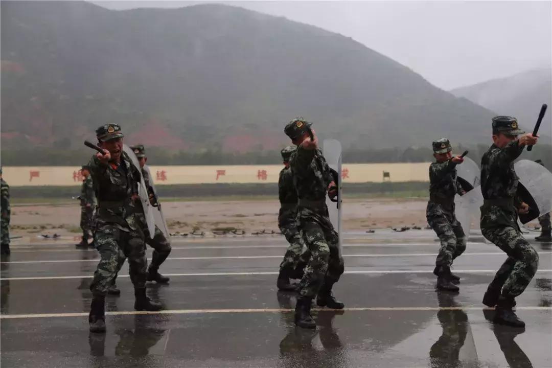 广东新兵杀班长事件，深度探究与反思，广东新兵杀害班长事件，深度探究背后的原因与反思