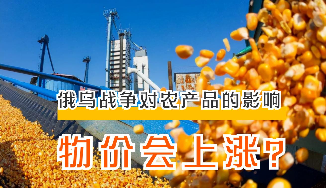 俄乌冲突近况最新消息，复杂局势下的最新进展与影响分析，俄乌冲突最新进展与影响分析，复杂局势下的最新消息