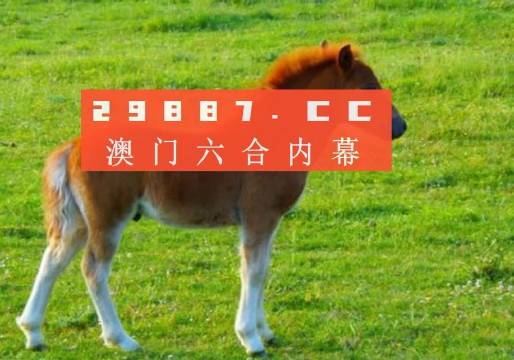 新澳门一肖一马平特大全，探索与解读，澳门新一期一肖一马平特大全，解读与探索指南