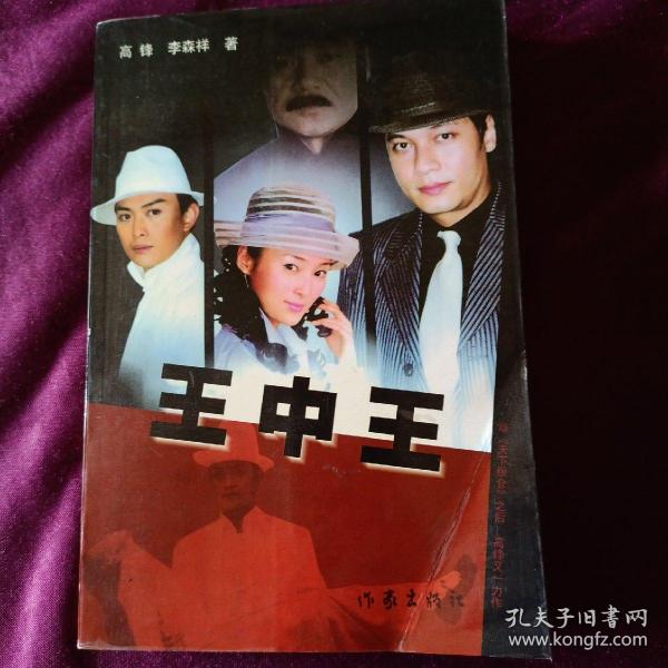王中王资料与肖申特的探索，深度解析与关联研究，王中王资料与肖申特探索，深度解析与关联研究探索