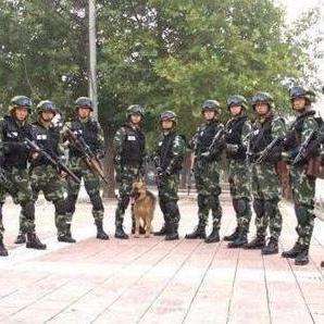 中国人民武装警察部队特种警察学院录取通知书，中国人民武装警察部队特种警察学院录取通知书揭晓，梦想启航时刻！