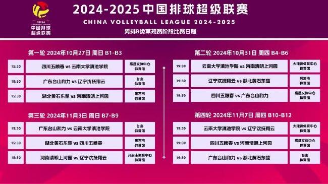 2025新澳精准资料大全详解，2025新澳精准资料大全详解手册