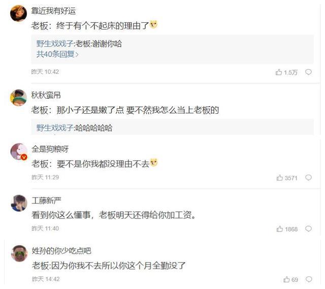 关于12号是真的吗的探究与解析，关于12号是真的吗的深入探究与解析