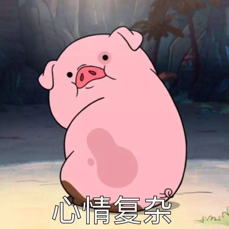 猪狗同行王中王打一生肖