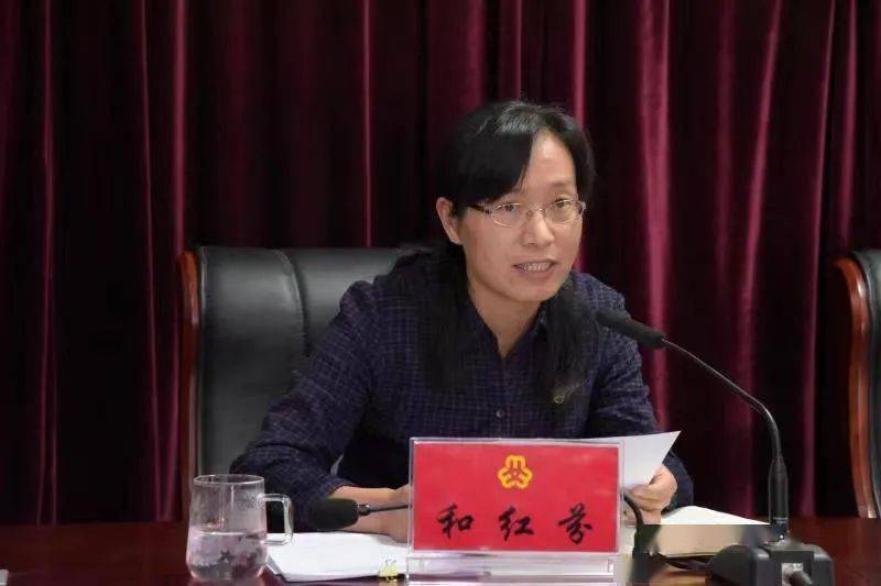 二四六精版免费大全，探索知识与资源的宝藏，二四六精版免费大全，开启知识资源宝藏之门