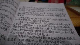 今日新闻摘抄，聚焦时事，洞察世界动态，今日新闻聚焦，时事热点与世界动态概览