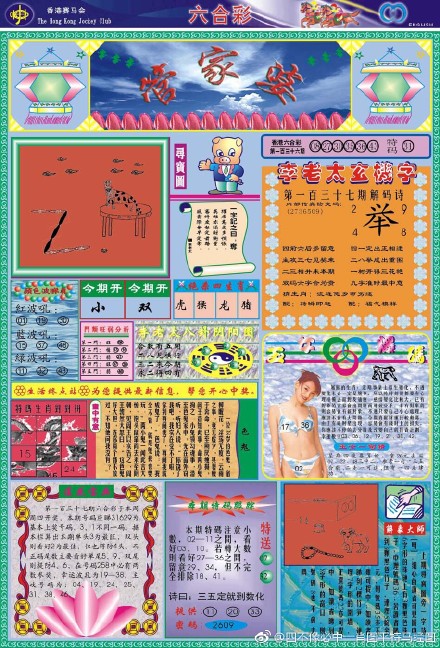 王中王论坛一肖平特图，深度解析与探讨，王中王论坛肖平特图深度解析与探讨