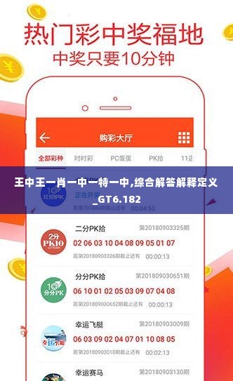 王中王精选一肖一，探寻背后的故事与意义，王中王精选一肖一背后的故事与意义探寻