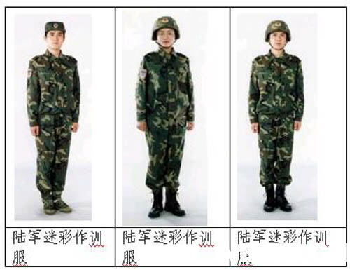 陆军冬季迷彩作训服，功能与设计的完美结合，陆军冬季迷彩作训服，功能与设计的完美融合