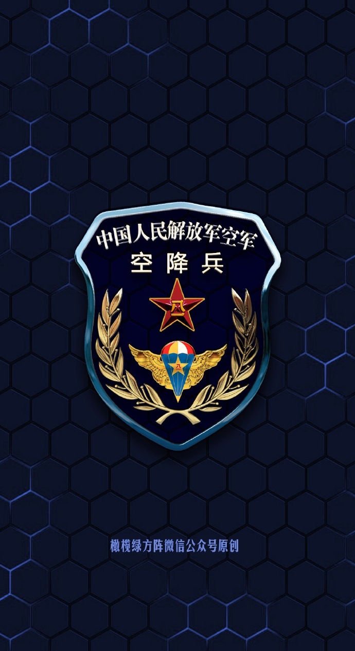 空降兵臂章，荣耀与使命的象征，空降兵臂章，荣耀使命的标志