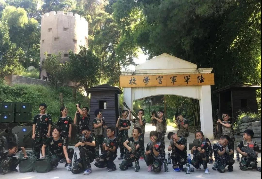 军事主题，战争、战略与力量的交织，军事战略与力量的交织，战争与战略深度解析