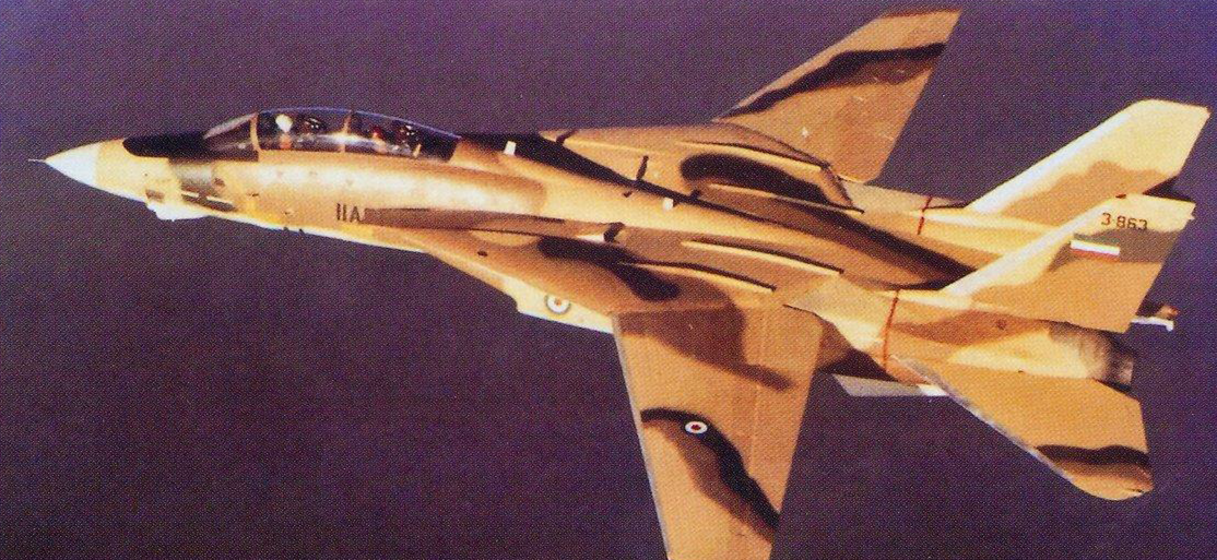 伊朗F14雄猫战斗机,历史、现状与挑战,伊朗F14雄猫战斗机,历史沿革、现状解析与面临的挑战