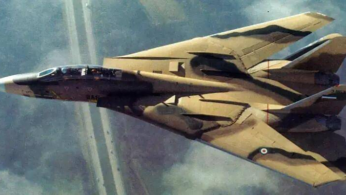 伊朗F14雄猫战斗机,历史、现状与挑战,伊朗F14雄猫战斗机,历史沿革、现状解析与面临的挑战