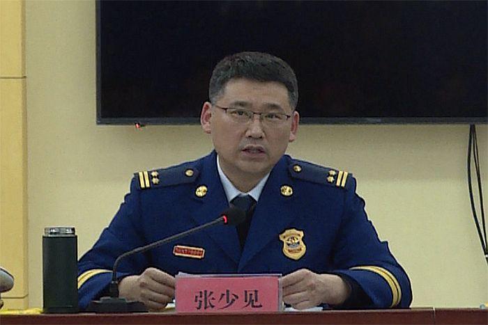 2020最新新闻及点评概览，2020年新闻热点与点评概览
