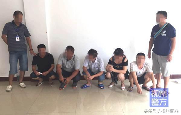 澳门澳门六开彩开奖结果，历史、规则与最新动态，澳门六开彩开奖结果，历史、规则与最新动态全解析